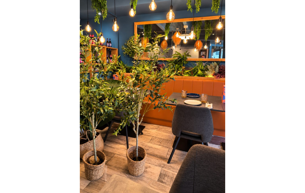 Traspaso - Restaurante -
Platja d'Aro