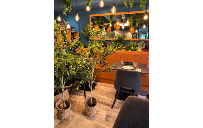 Traspaso - Restaurante -
Platja d'Aro