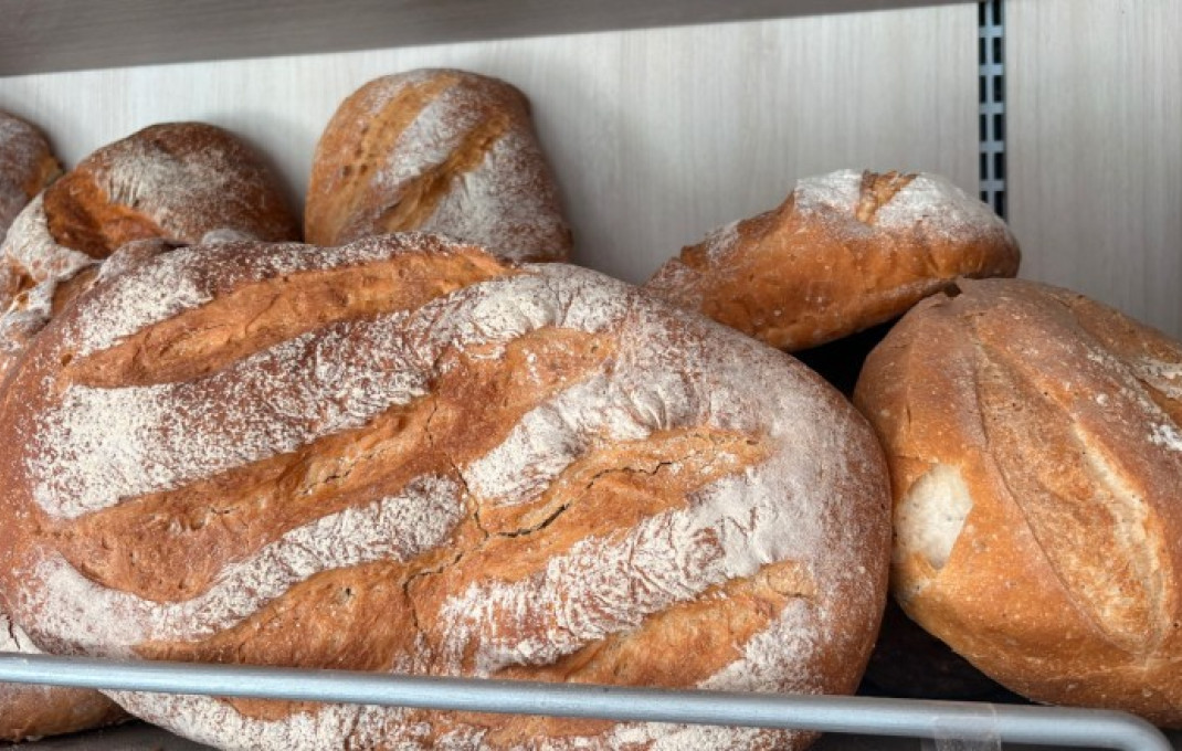 Vente rentable - Obradores y/o Panaderias -
Sant Feliu