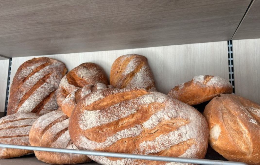 Vente rentable - Obradores y/o Panaderias -
Sant Feliu