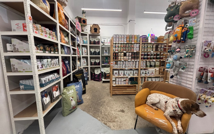 Traspaso - Tiendas -
Barcelona - Eixample Izquierdo