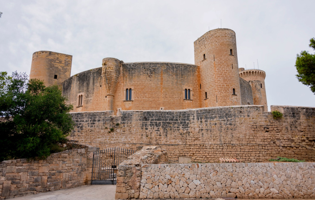 Venta - Apartahotel  -
Mallorca