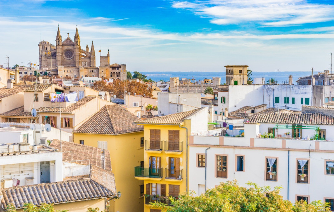 Venta - Apartahotel  -
Mallorca