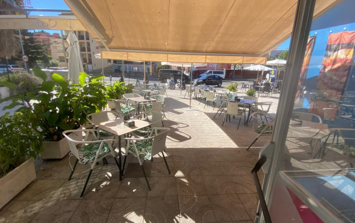Venta - Bar-Cafeteria -
Lloret de Mar