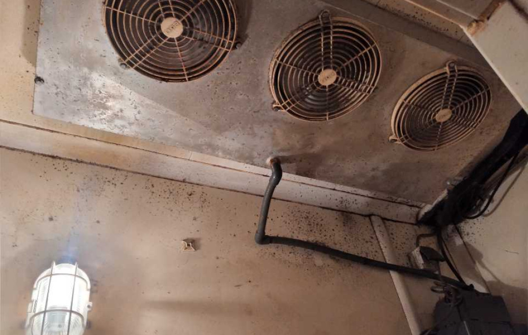 Transfert - Parada de mercado -
Barcelona - Gótico