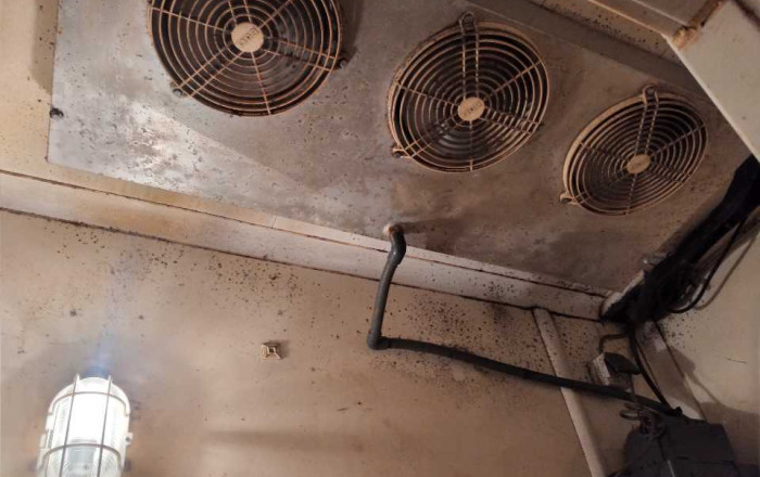 Transfert - Parada de mercado -
Barcelona - Gótico