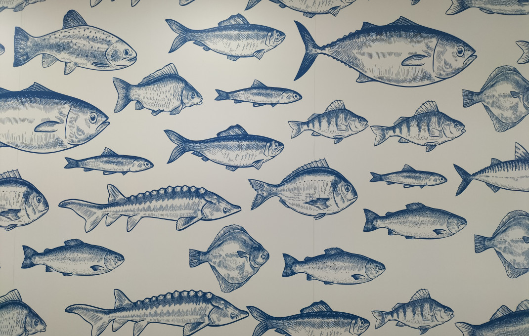 Traspaso - Carnicería - Pescadería -
Cervelló