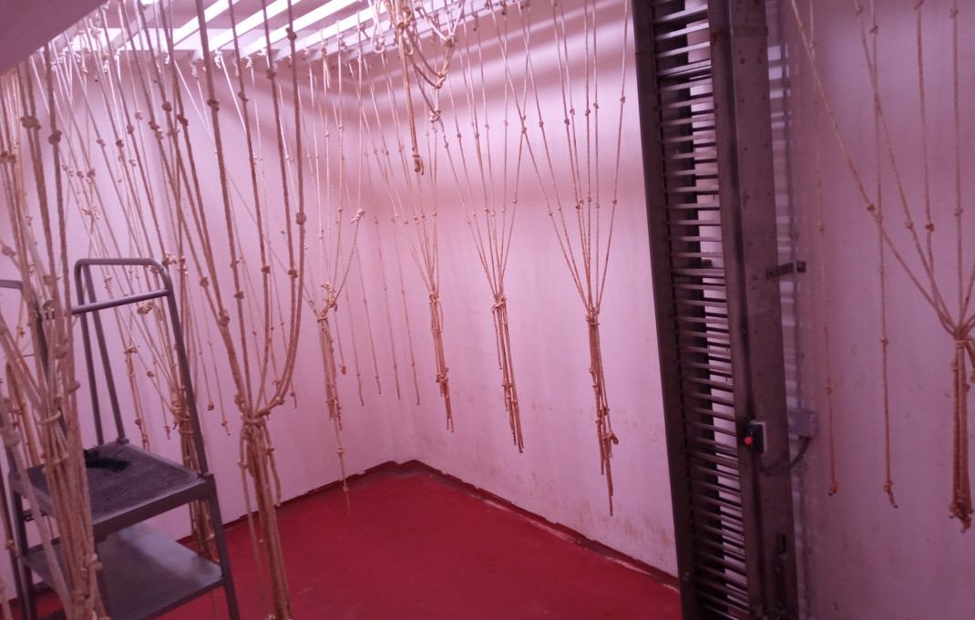 Revente - Restaurant -
Rubí