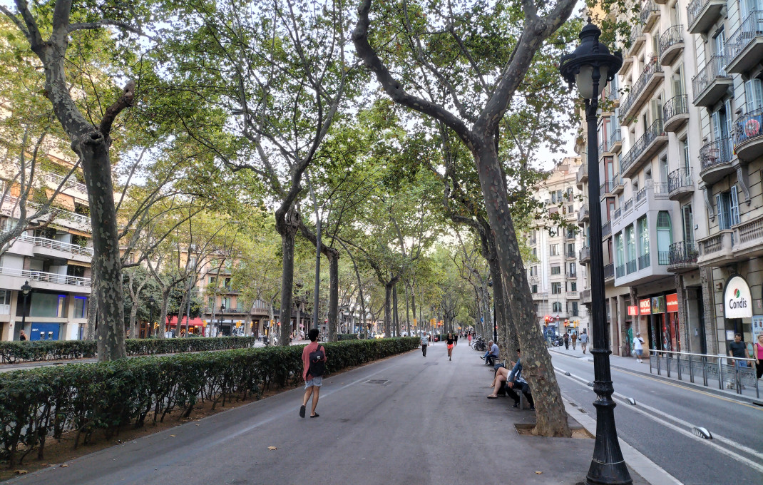 Transfert - Bar Restaurante -
Barcelona - Eixample Izquierdo