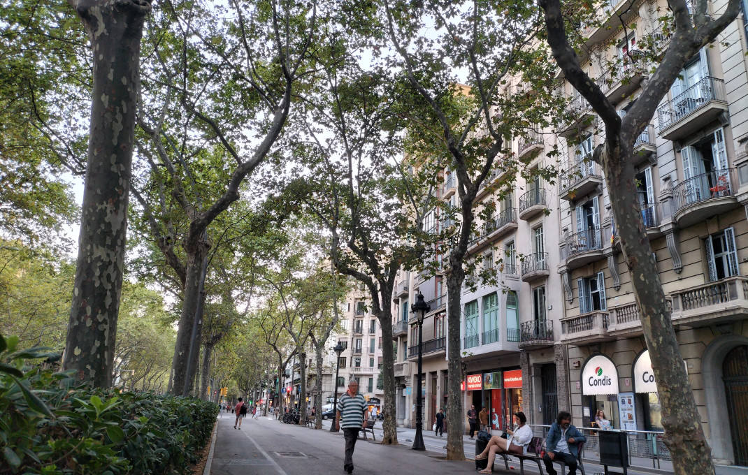 Transfert - Bar Restaurante -
Barcelona - Eixample Izquierdo