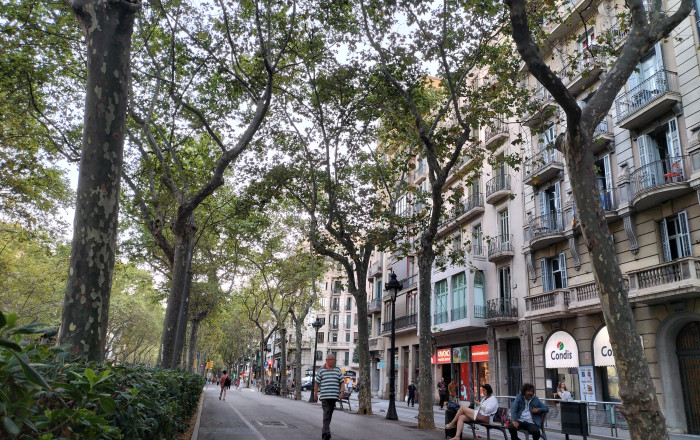 Transfert - Bar Restaurante -
Barcelona - Eixample Izquierdo