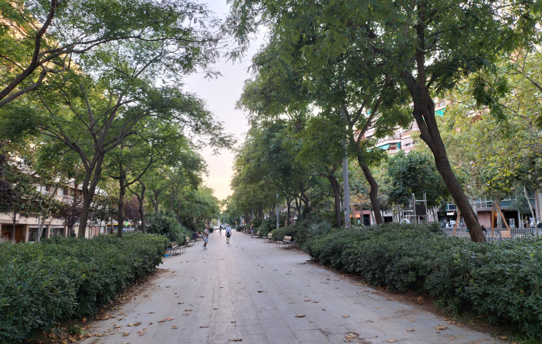 Transfert - Bar Restaurante -
Barcelona - Eixample Izquierdo