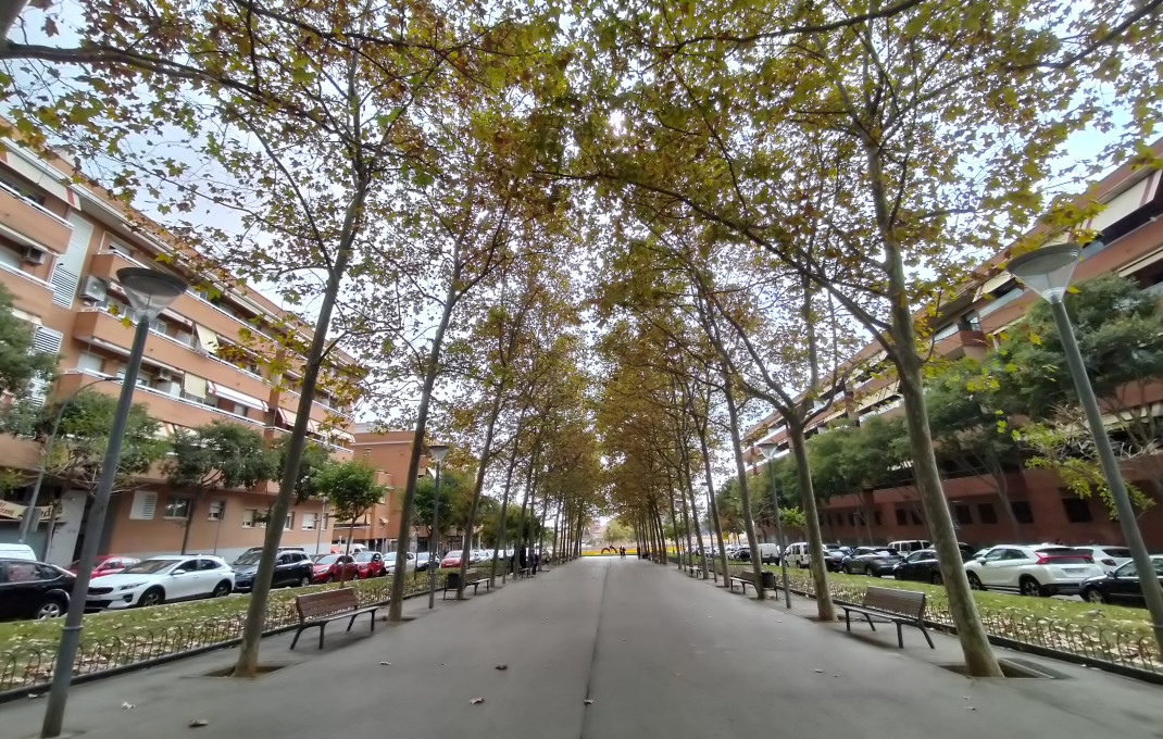 Traspaso - Bar Restaurante -
Esplugues de Llobregat - Can Clota