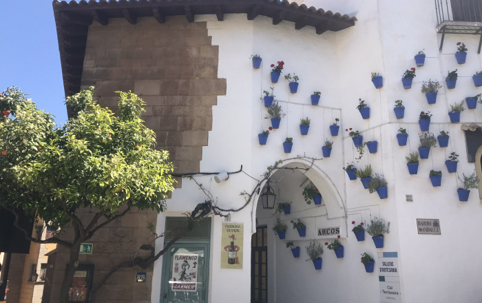 Transfert - Restaurant -
Barcelona - Poble Sec-montjuïc