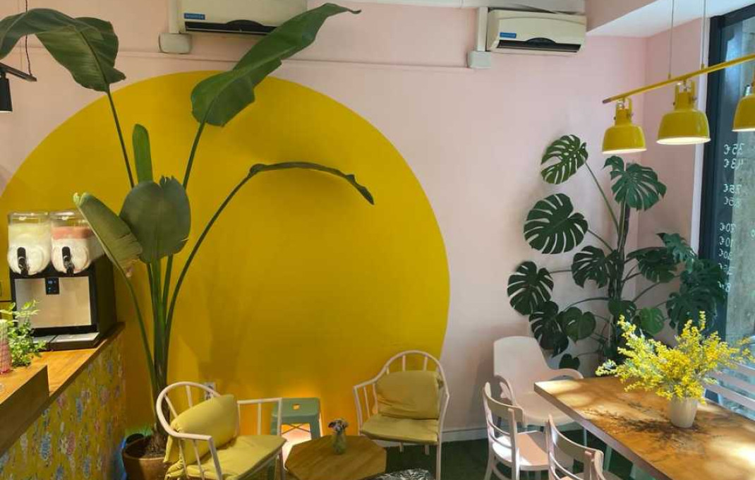 Traspaso - Licencia C2 -
Barcelona - Eixample Izquierdo