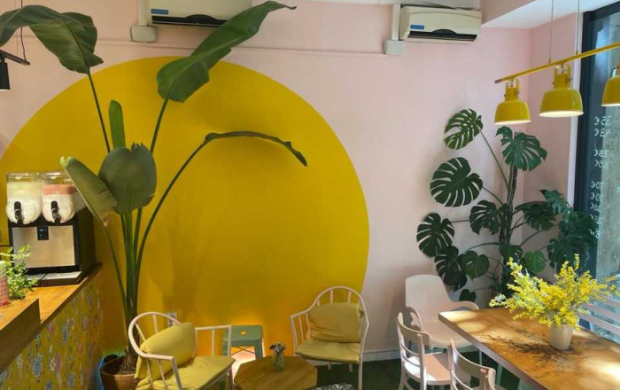 Traspaso - Licencia C2 -
Barcelona - Eixample Izquierdo