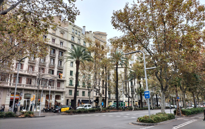 Location longue durée - Des bureaux -
Barcelona - Eixample Izquierdo