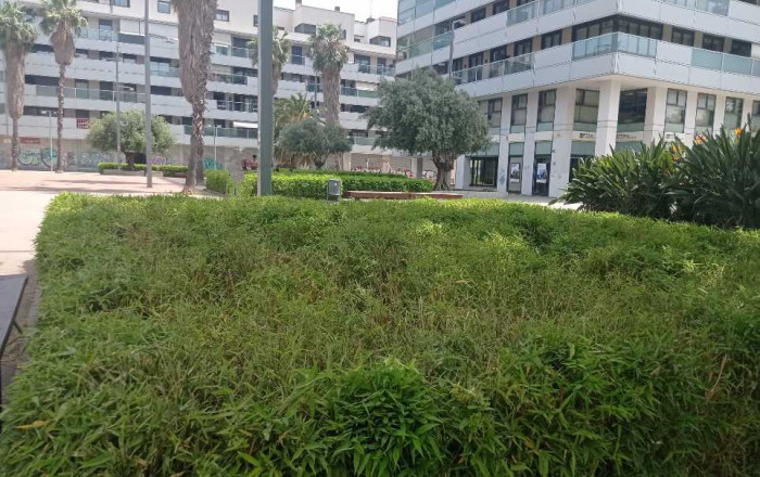 Transfert - Bar-Cafeteria -
Sabadell