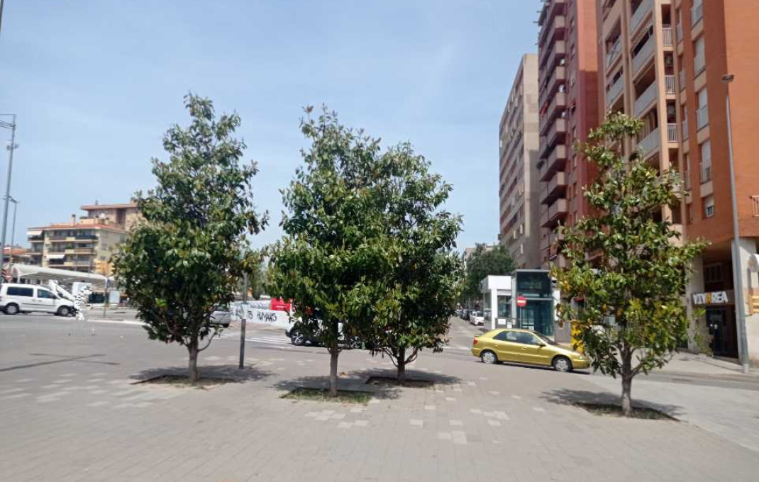 Transfert - Bar-Cafeteria -
Sabadell