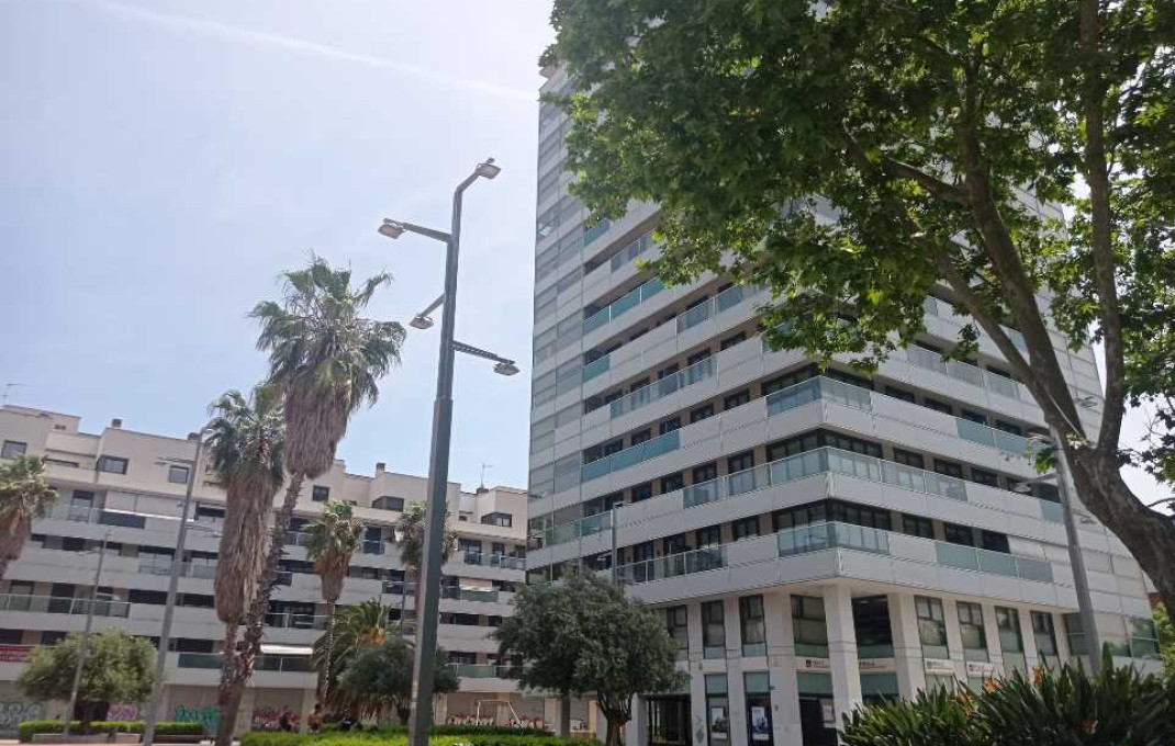 Transfert - Bar-Cafeteria -
Sabadell