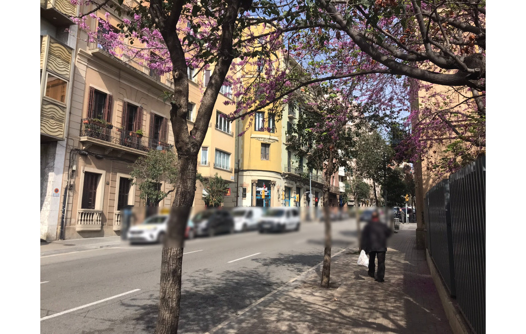 Transfert - Bar-Cafeteria -
Barcelona - Sant Gervasy- Bonanova