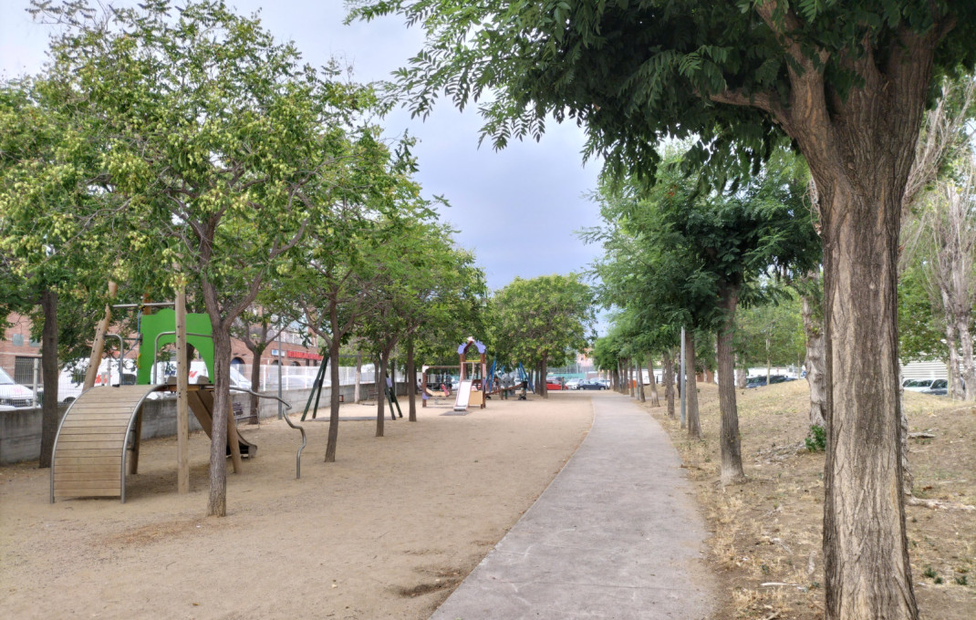 Transfer - Bar- C1 -
Pallej&agrave;