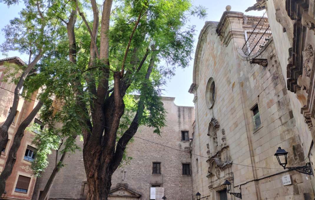 Transfert - Local comercial -
Barcelona - Gótico