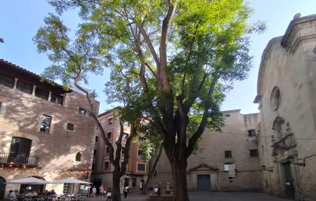 Transfert - Local comercial -
Barcelona - Gótico