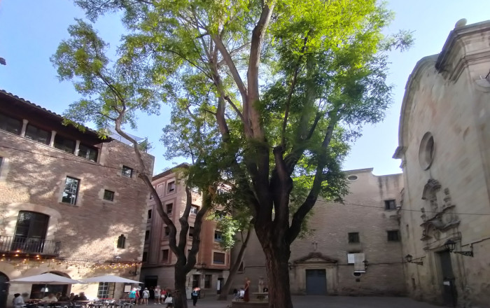 Transfert - Local comercial -
Barcelona - Gótico