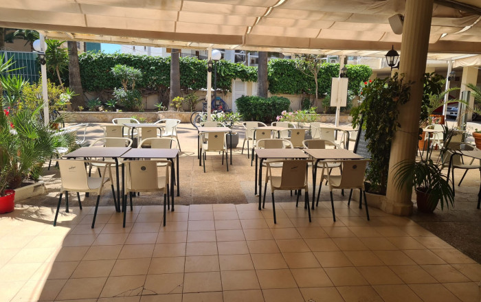 Traspaso - Restaurante -
Palma de Mallorca - Palma 