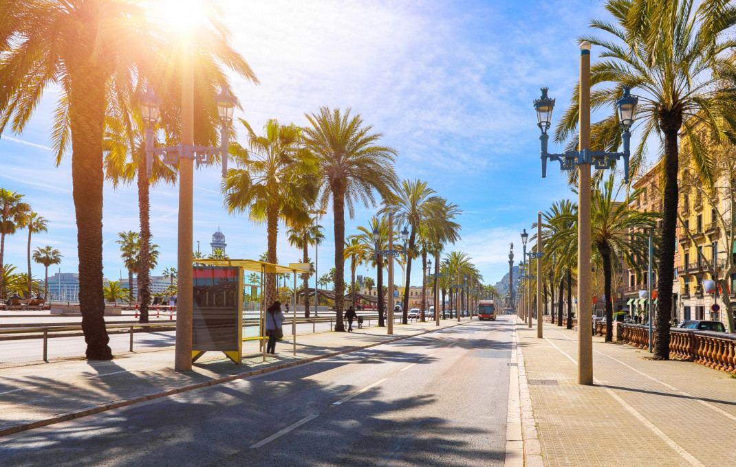 Transfert - Bar- C1 -
Barcelona