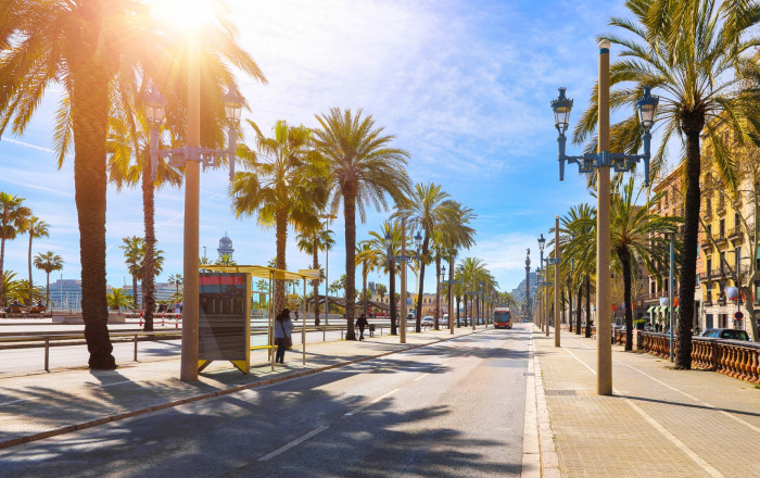 Transfert - Bar- C1 -
Barcelona