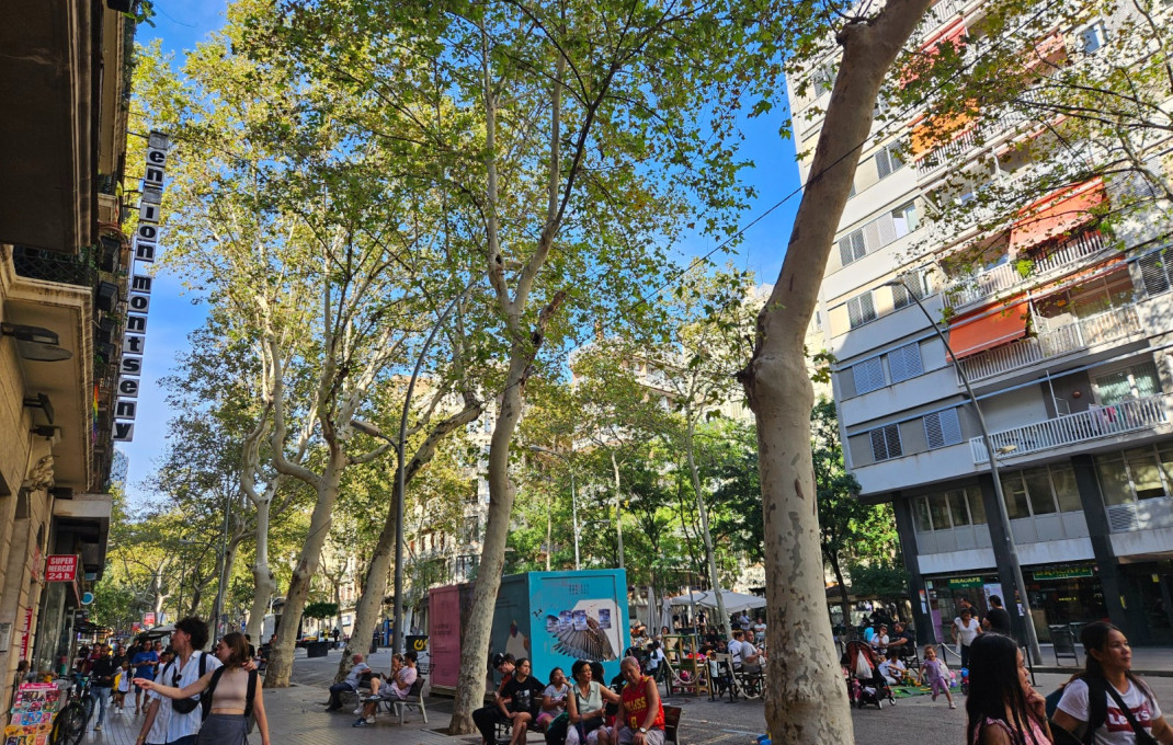Transfer - Cafeteria -
Barcelona - Sant Antoni