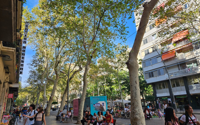 Transfert - Cafeteria -
Barcelona - Sant Antoni