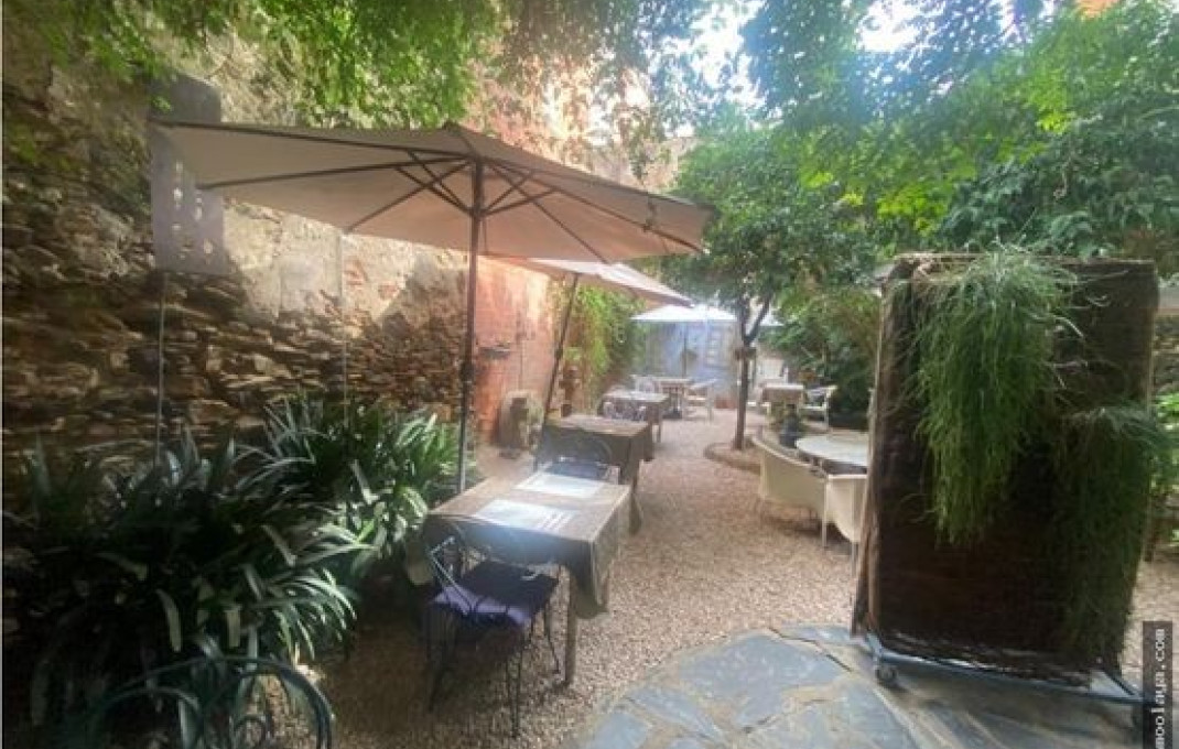 Transfert - Restaurant -
Roses