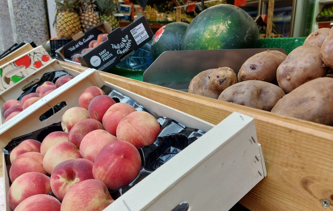 Traspaso - Frutería -
L'Hospitalet de Llobregat