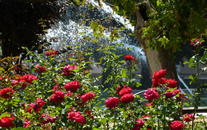 Venta - Naves y solares -
Sant Feliu
