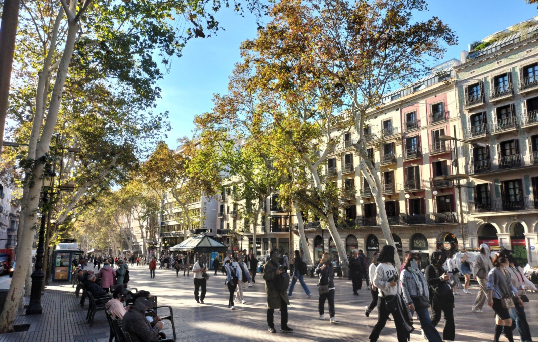 Traspaso - Peluquerias y Estetica -
Barcelona - Borne-centro