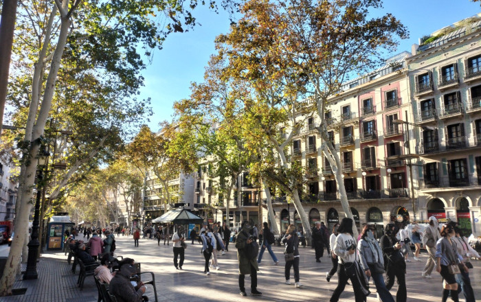 Traspaso - Peluquerias y Estetica -
Barcelona - Borne-centro