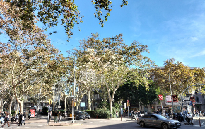 Traspaso - Peluquerias y Estetica -
Barcelona - Borne-centro