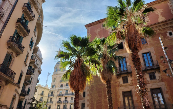 Traspaso - Peluquerias y Estetica -
Barcelona - Borne-centro