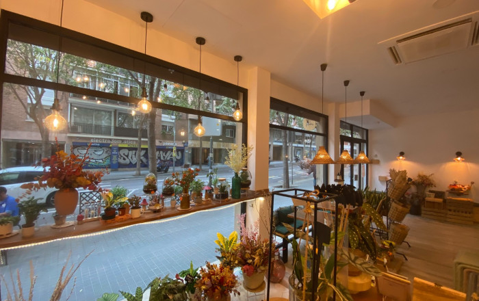 Vente rentable - Obradores y/o Panaderias -
Barcelona - Les corts