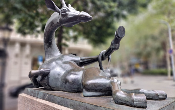 Traspaso - Tiendas -
Barcelona - Eixample Izquierdo