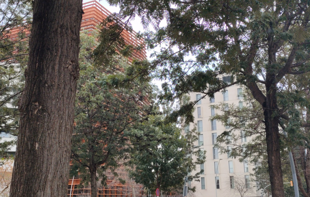 Traspaso - Obradores y/o Panaderias -
Barcelona - Poblenou