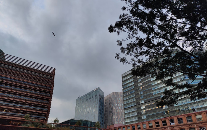 Traspaso - Obradores y/o Panaderias -
Barcelona - Poblenou