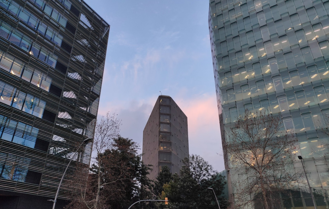 Traspaso - Obradores y/o Panaderias -
Barcelona - Poblenou