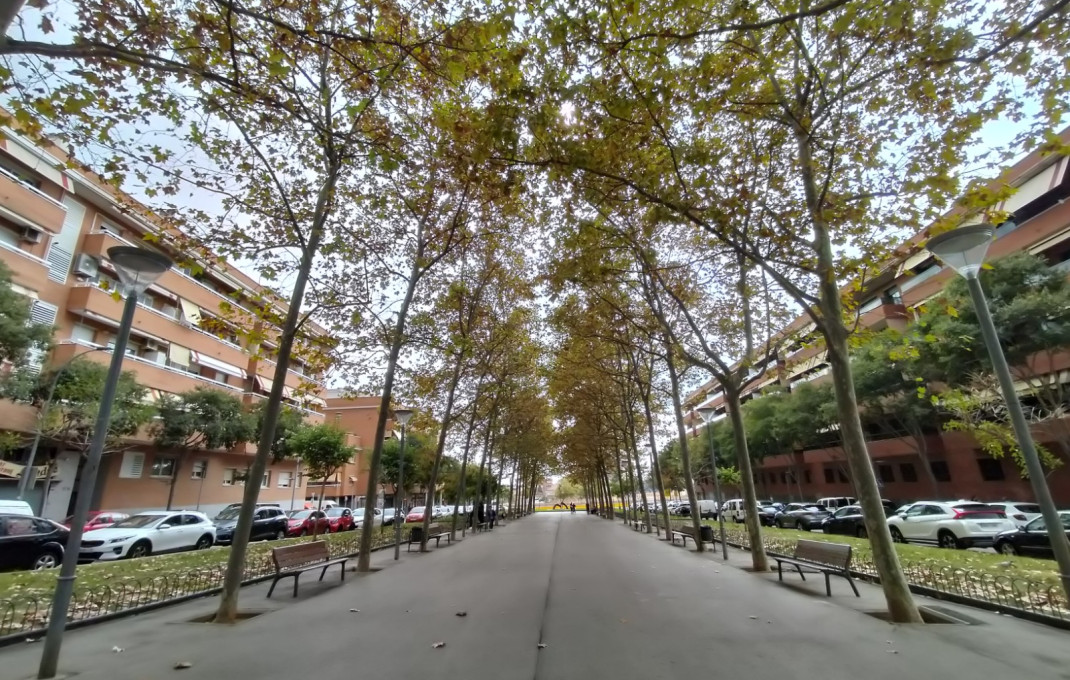 Traspaso - Clinica -
Esplugues de Llobregat