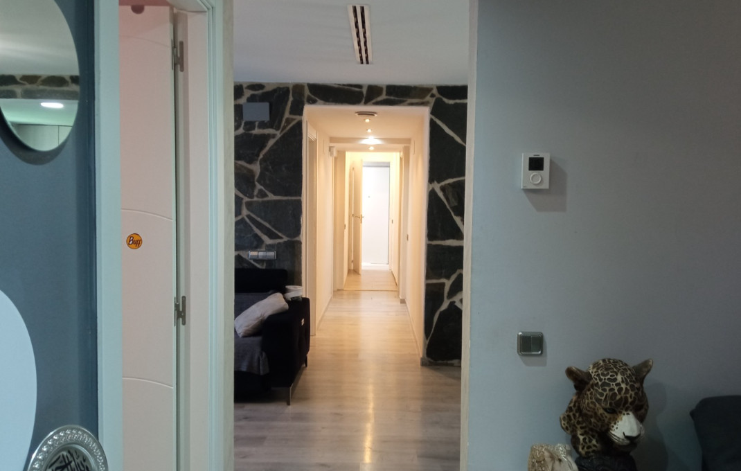 Venta - Casa -
Cerdanyola del Vallès