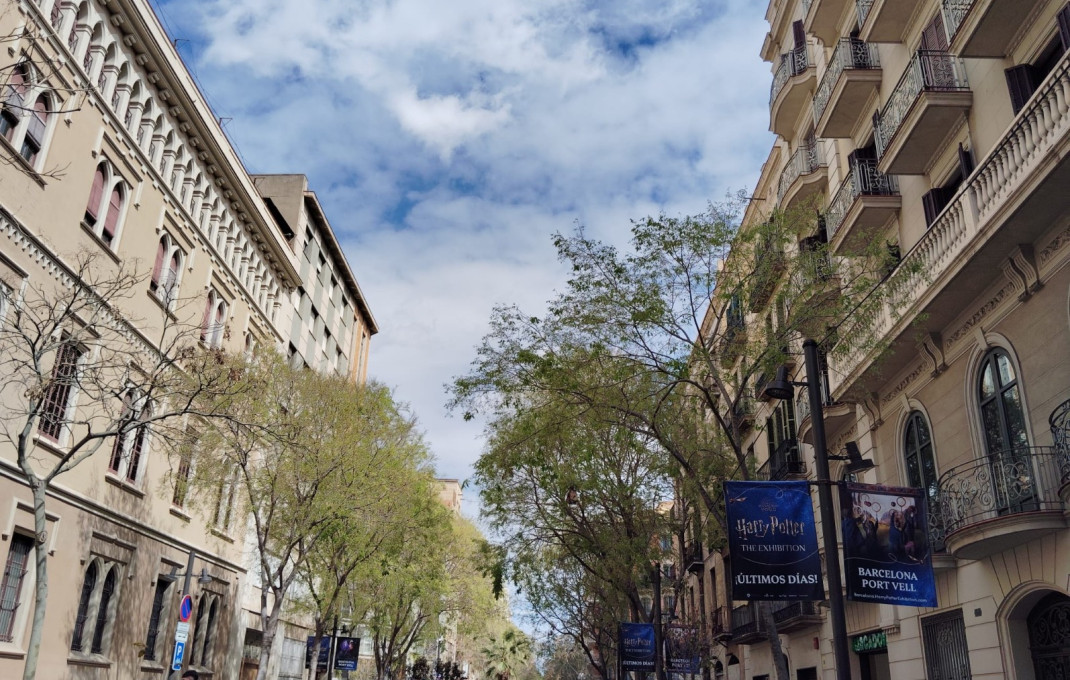 Alquiler - Oficinas -
Barcelona - Eixample Izquierdo