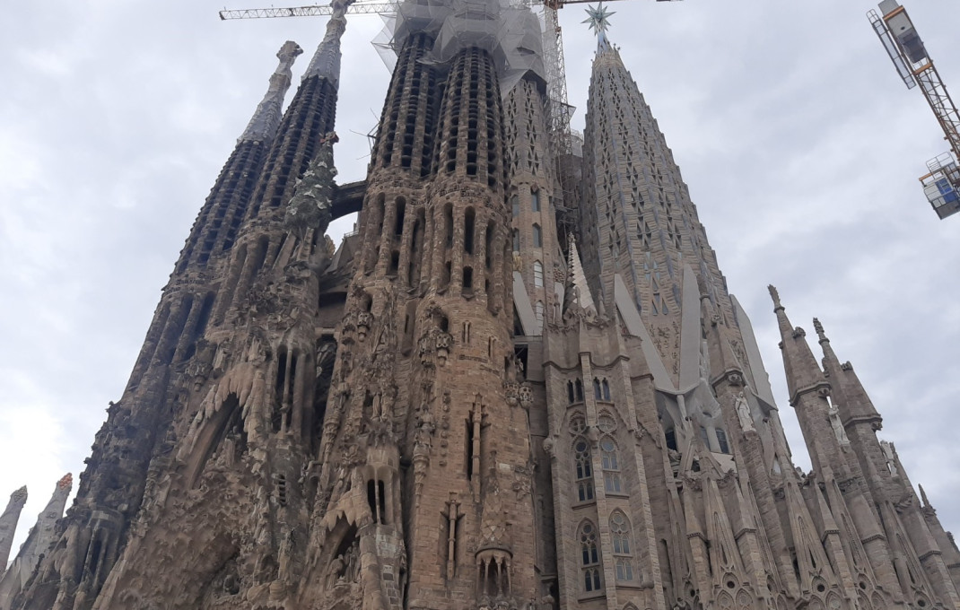 Transfert - Licencia C2 -
Barcelona - Sagrada familia